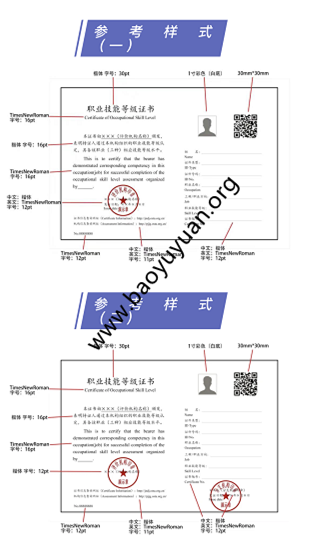 国家对保育员第三方评价机构证书样本板式要求